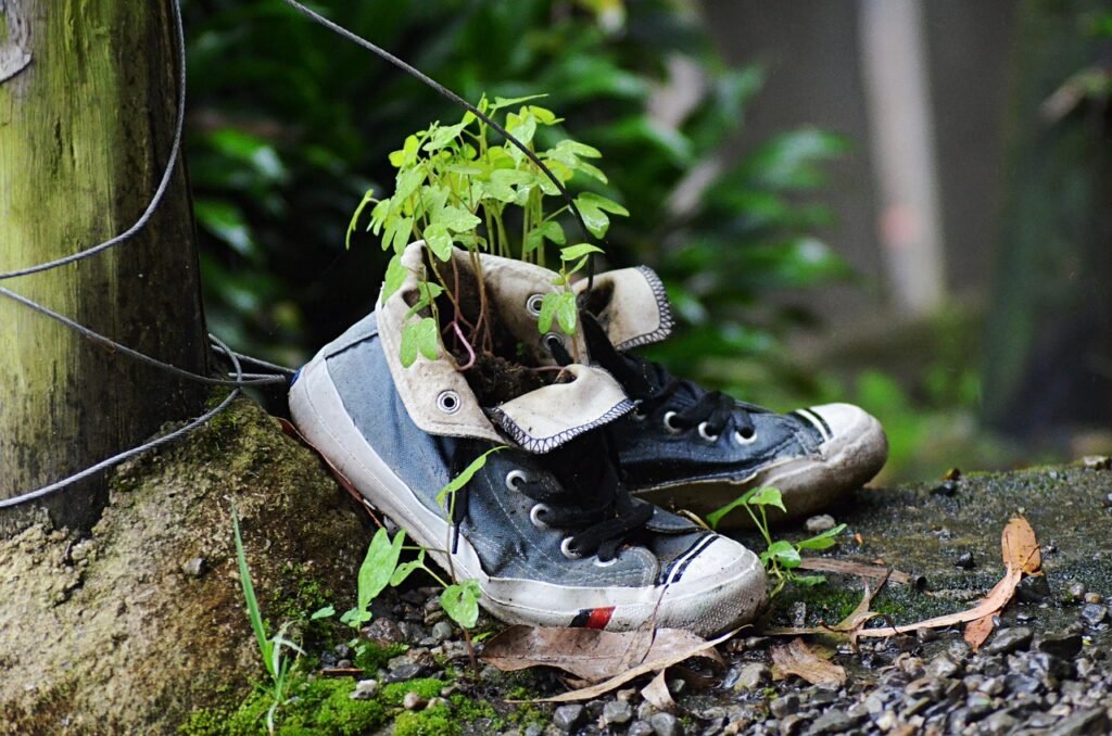 shoes, old, nature, floors, slippers, vintage, life, hippie, convert, be reborn, resurgence, revive, hope, hippie, hippie, revive, revive, revive, revive, revive